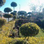 img_11_1741213695213