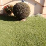 img_5_1741213663423